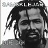 Maxi Zion Vibes - Cache-Cash