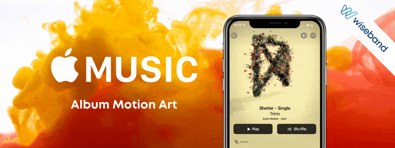 Discover what is Apple Motion Art with Wiseband.