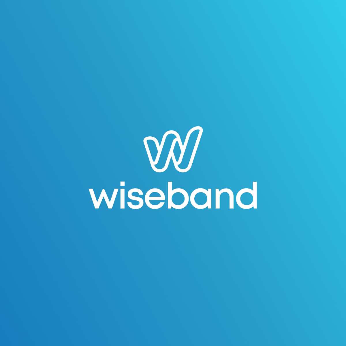 (c) Wiseband.com